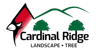 Cardinal_VA_703