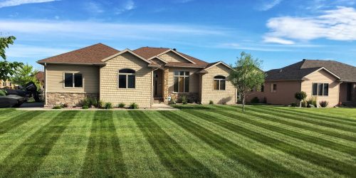 Lawn Mowing, Lawn Care, Grass Cutting, Lawn Maintenance