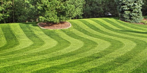Lawn Mowing, Lawn Care, Grass Cutting, Lawn Maintenance