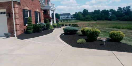 Cardinal Ridge Landscape