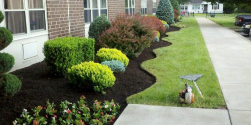 Landscaping & Mulch Installation