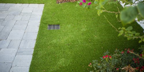 Leaf Removal, Leaf Removal service, Fall Clean Up, Spring Clean Up, Free Estimate