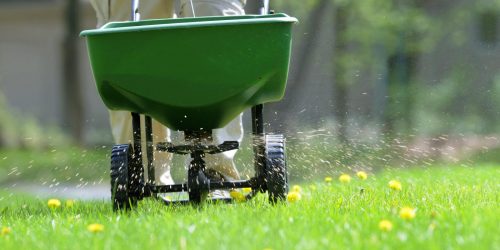 Lawn Fertilization